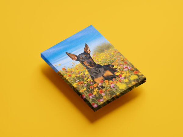 Doberman Pincher in field of flowers Wall Art, CANVAS ART, Doberman Pincher Decor, Dog Decor, Artful Dog Artwork - Image 5