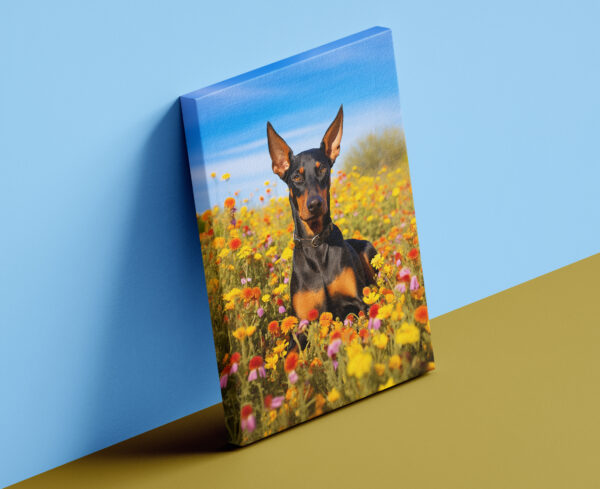 Doberman Pincher in field of flowers Wall Art, CANVAS ART, Doberman Pincher Decor, Dog Decor, Artful Dog Artwork - Image 4